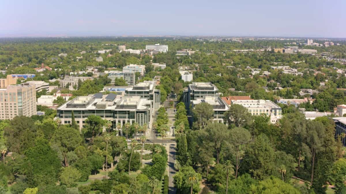 Brentwood - local landmark and symbol for families