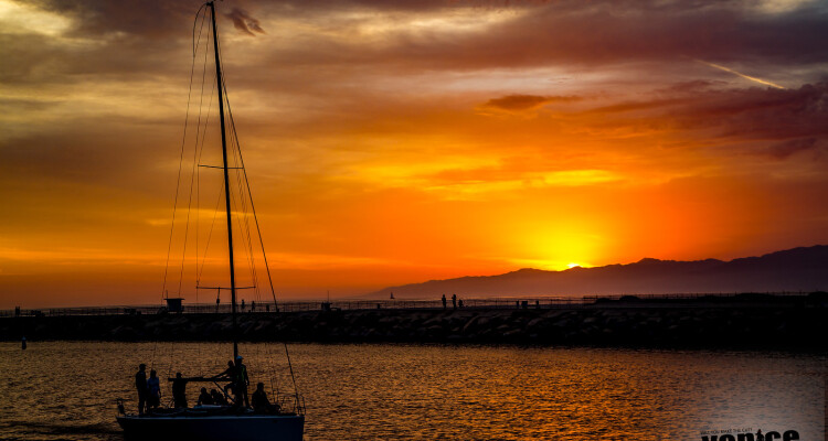 Venice beach– local landmark and symbol for families